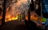 Фото лесные пожары