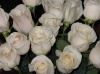 Фото букет белых роз 1