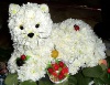 Собака из живых цветов