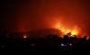Фото лесные пожары