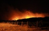 Фото лесного пожара